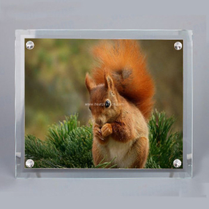 10"Bevel Crystal Photo Frame with Four Holes BL09